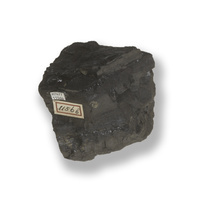 M 07477
<br/>
<br/>
<em></em>